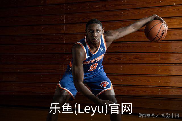 乐鱼(Leyu)官网公司简介图片